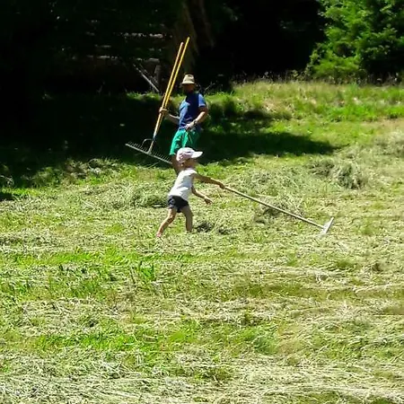 別荘 Berghof Knabl