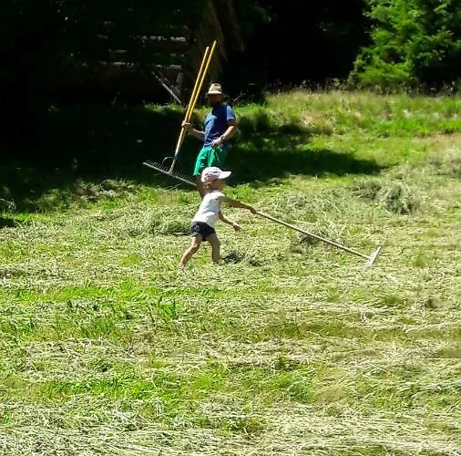 Holiday home Berghof Knabl